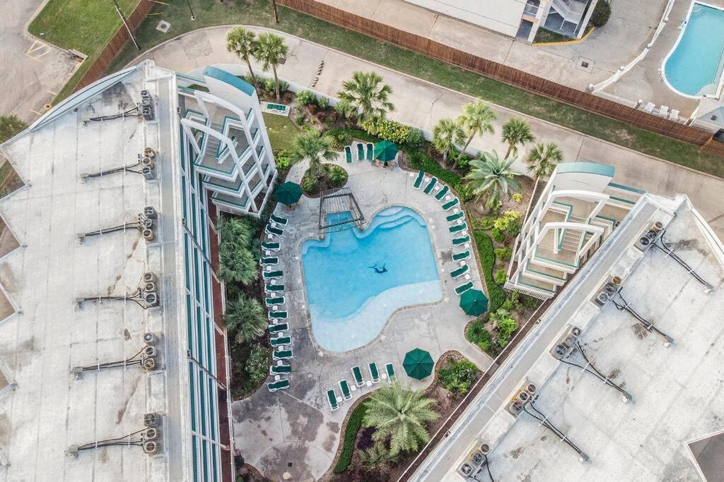 Apartamento The Happy Seahorse Galveston Exterior foto